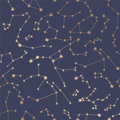 Constellations Navy Peel and Stick Wallpaper - Navy